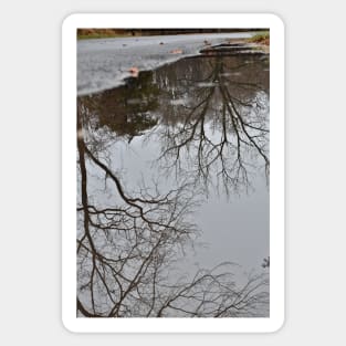 Mud Puddle Reflection Sticker